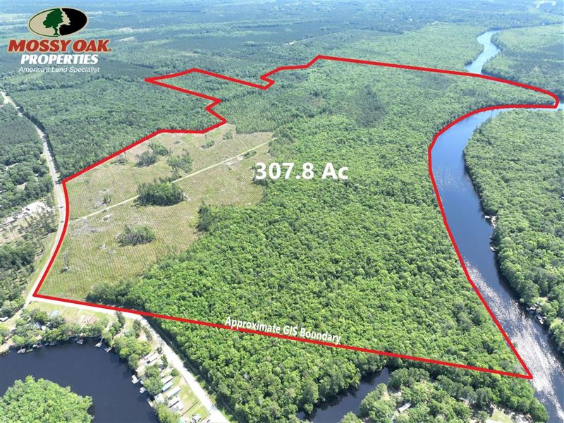 307+ Acre St.Marys River Tract : Kingsland : Camden County : Georgia