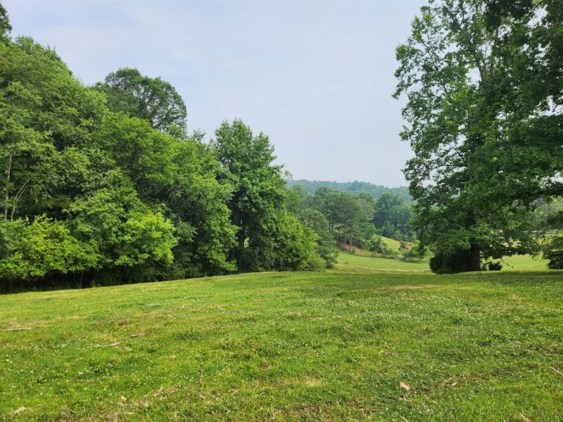 112.5Ac, 275 Sumerset Lane Nor : North Wilkesboro : Wilkes County : North Carolina