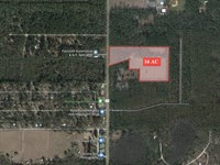 16+ Acres Development Potential, Jm : Crawfordville : Wakulla County : Florida