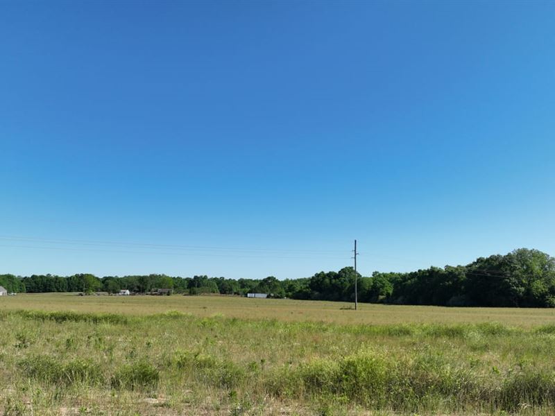 Five Acre Open Beautiful Homesite : Dothan : Houston County : Alabama