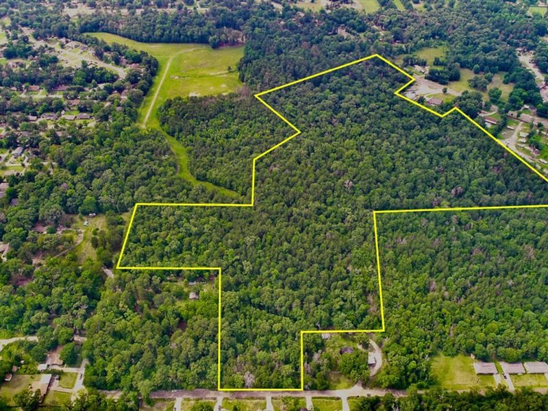 38.34+/- Acres, FM 841 : Lufkin : Angelina County : Texas