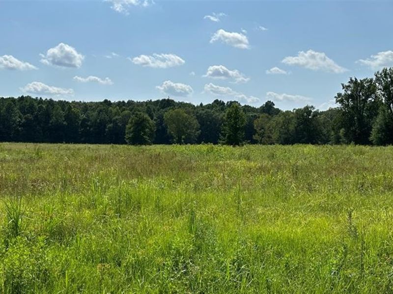 40 Acres in Lauderdale County in ME : Meridian : Lauderdale County : Mississippi