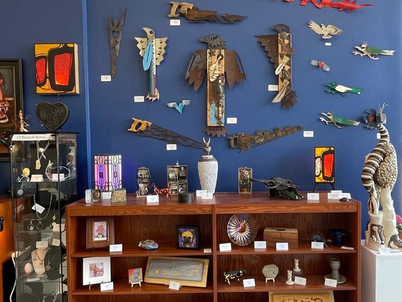 Thriving Art Gallery : Trinidad : Las Animas County : Colorado