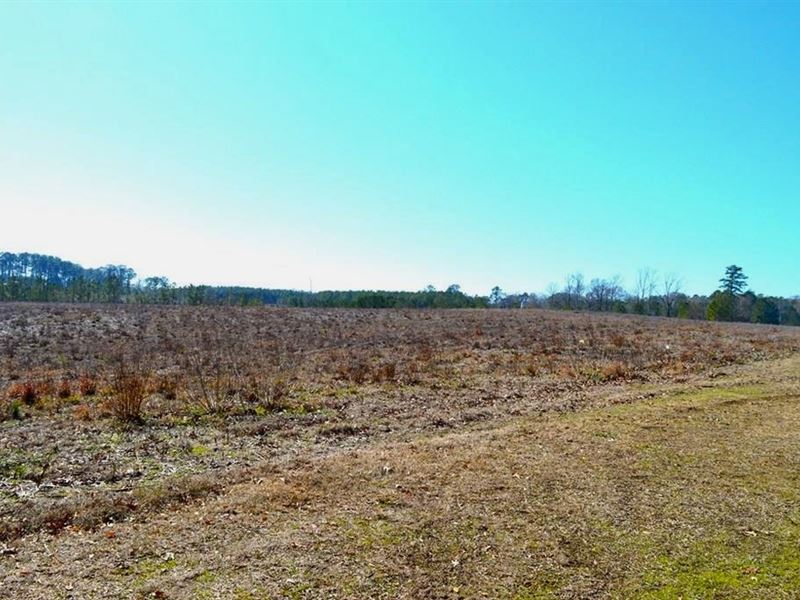 Commercial Property for Sale West : McComb : Pike County : Mississippi