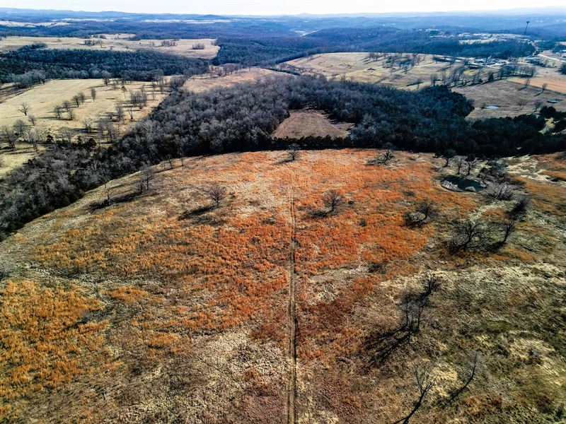 18.59 Acres Of Prime Pasture Land : Theodosia : Ozark County : Missouri