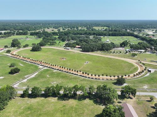 Ocala Stable and Racetrack : Morriston : Marion County : Florida