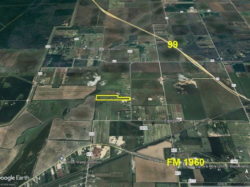 27 Acres FM 686 : Dayton : Liberty County : Texas