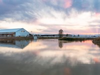 Horse Boarding/Training Petting Zoo : Erie : Weld County : Colorado