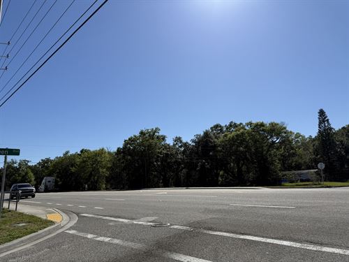 Berkley Road Commercial Land Oppt : Auburndale : Polk County : Florida