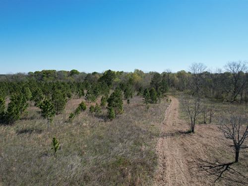 Crisp Multi-Use Tract : Cordele : Crisp County : Georgia