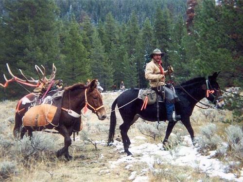 Outfitting Business For Sale Northe : Granby : Grand County : Colorado