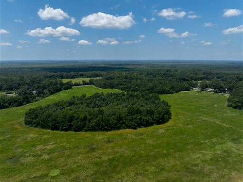 Interstate 65 Stockton Bay Minette : Bay Minette : Baldwin County : Alabama
