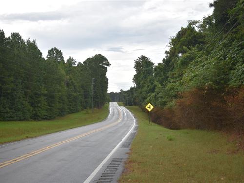 14 Acres in Elmore County, AL : Eclectic : Elmore County : Alabama