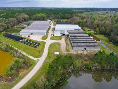 Alachua County Propagation Nursery : Gainesville : Alachua County : Florida