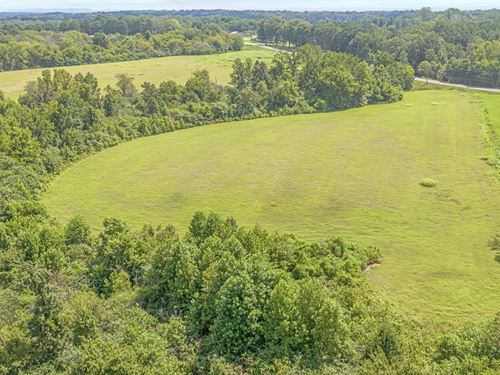 Henagar Investment Land 41 Acres : Henagar : DeKalb County : Alabama