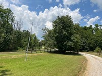 La, Richland 515 Acres : Rayville : Richland Parish : Louisiana