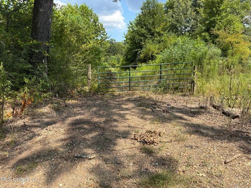 88 Acres For Sale in Hinds County : Jackson : Hinds County : Mississippi