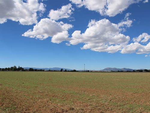Future Forward 80 Acres Potential : Moriarty : Torrance County : New Mexico