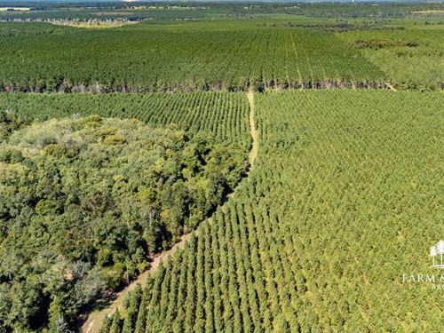 2,166 Ac Mega-Site Industrial Zonin : Campbellton : Jackson County : Florida